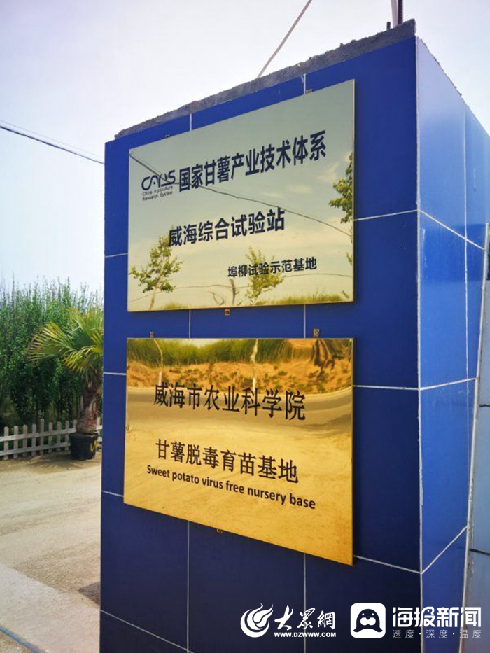 信息化賦能扶貧攻堅，激活鄉村振興新引擎